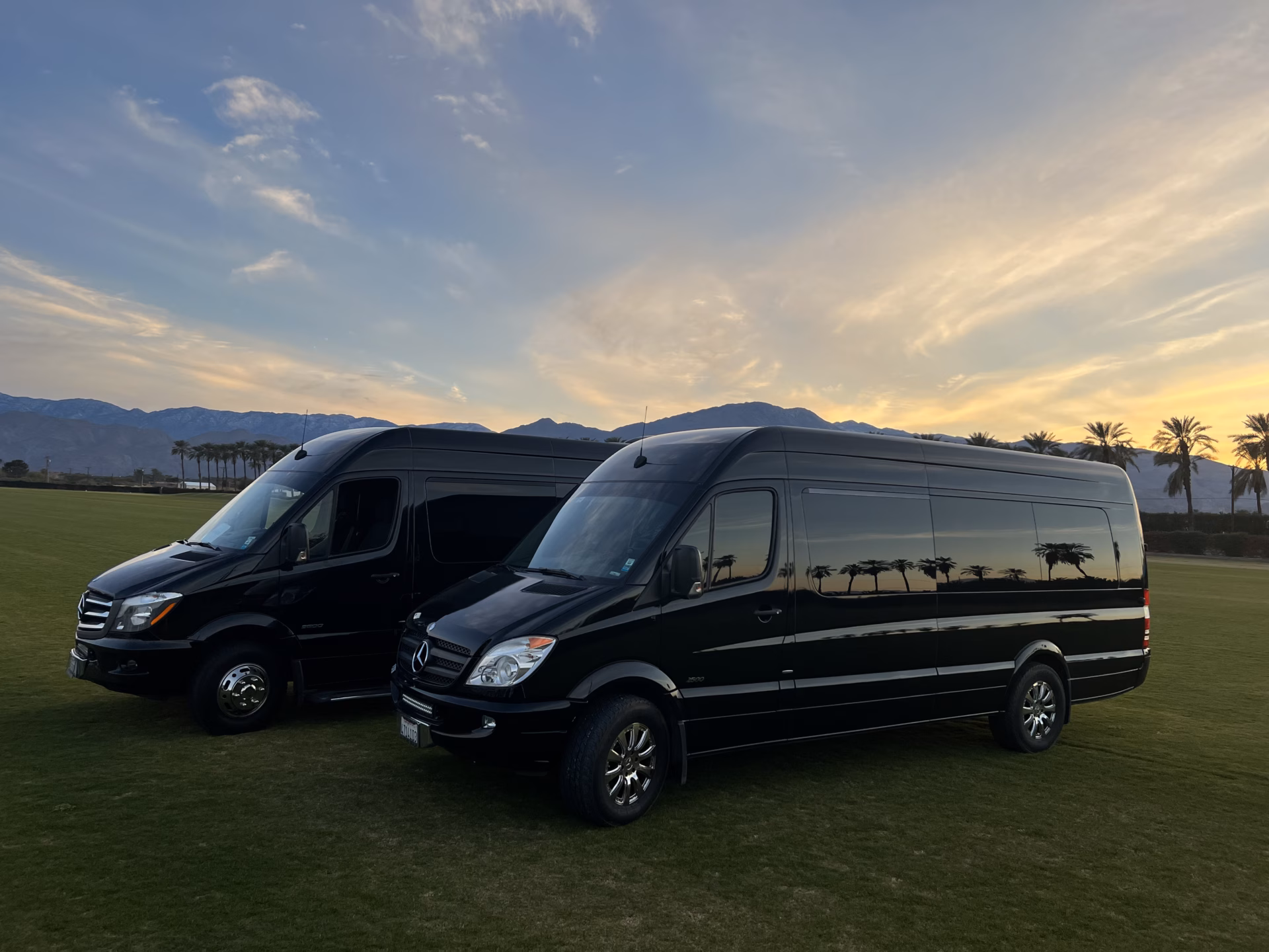 Anaheim limo rental