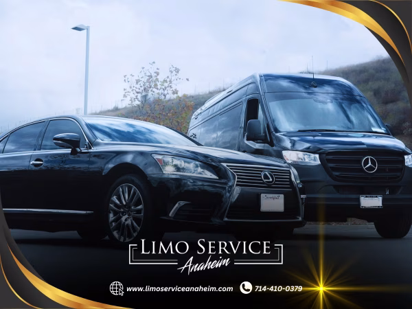 What Is The Best Private Car Service From SNA To Anaheim Hotels?