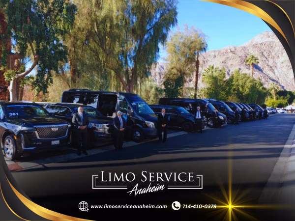 What Vehicle Types Work Best For Anaheim Luxury Transportation?